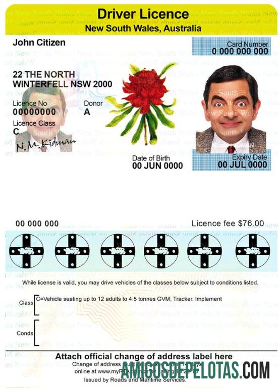 Carteira de Motorista Austrália Nova Gales do Sul amostra